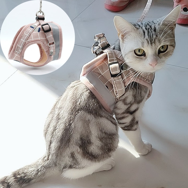 Fashion Plaid Cat Harnesses for Cats Summer Mesh Pet Harness and Leash Set Katten Kitty Mascotas Products for Gotas Accessories