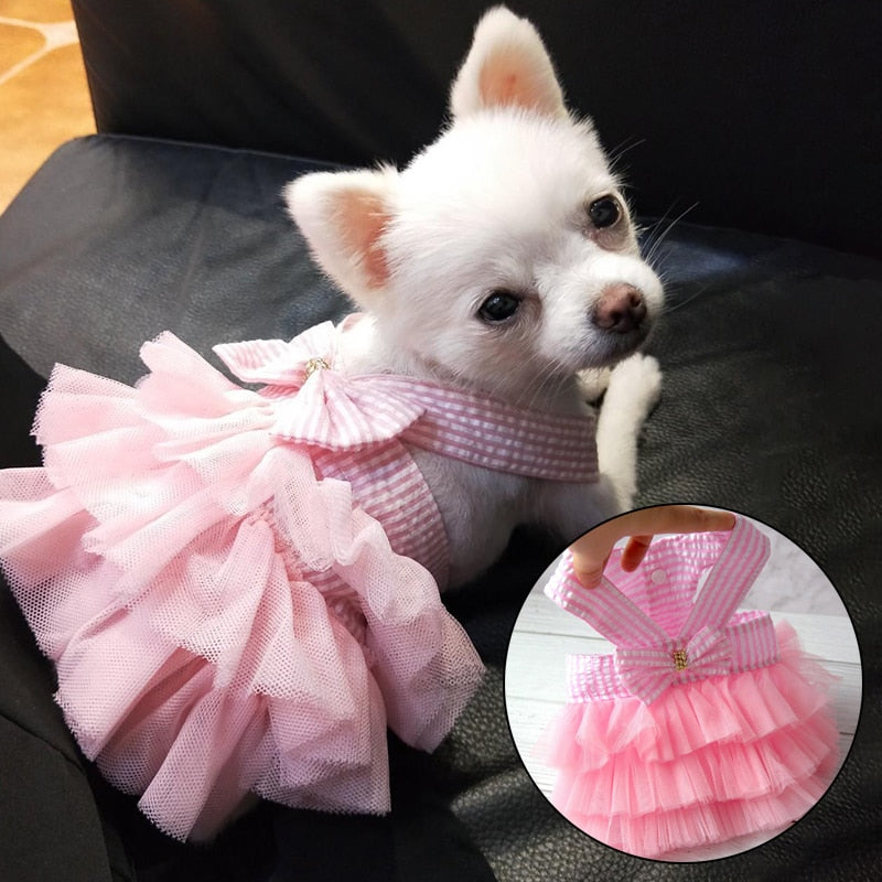 Dog Summer Dress Cat Lace Skirt Pet Clothing Chihuahua Stripe Skirt Puppy Cat Princess Apparel Cute Puppy Clothe Dog Accessories