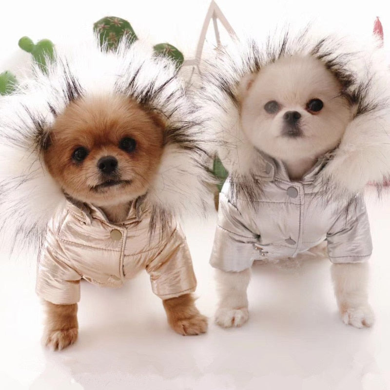 Waterproof Dog Coat Jacket Warm Dog Clothes Winter Pet Outfit Cat Puppy Yorkie Clothing Chihuahua Poodle Pomeranian Dog Costumes